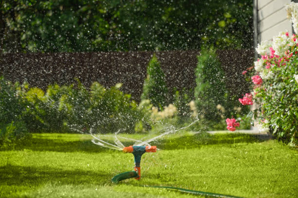 istock Automatic smart irrigation system. Watering garden with hose on backyard. 1475546442