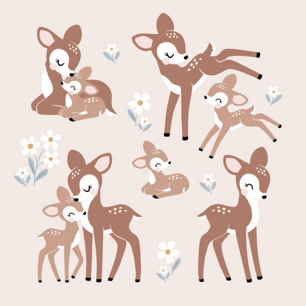 illustrations, cliparts, dessins animés et icônes de mignons personnages de maman et de bébé de cerf vintage avec des fleurs d’été - faon