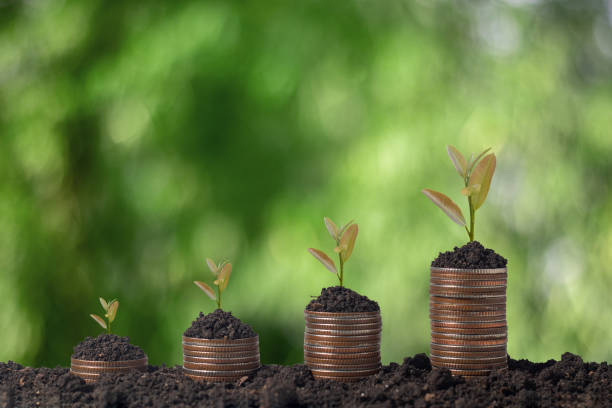 istock Coins stacked from low to high. (Saving concept) 1475549634