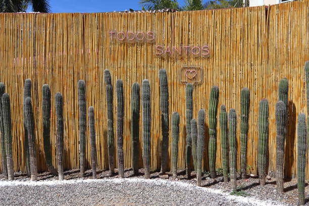 A palisade of reeds and cactus in front with the name of the village, Todos Santos and the icon of a heart written on it