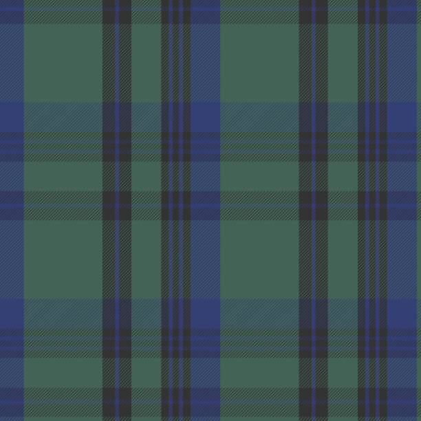 plaid pattern green black blue Green, black, blue plaid seamless background for fabric, textile, wallpaper.Vector illustration. tartan army stock illustrations