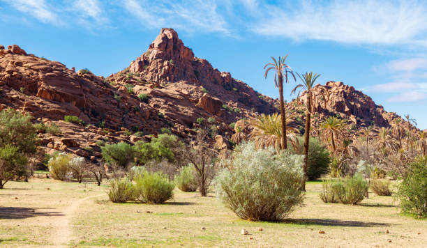 istock Tafraoute rock formation and plam tree,  Morocco 1475553793