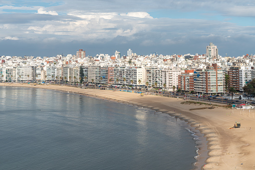 Golden sands and crystal-clear waters at Pocitos Beach, the perfect spot to soak up the sun and relax in Montevideo, Uruguay.