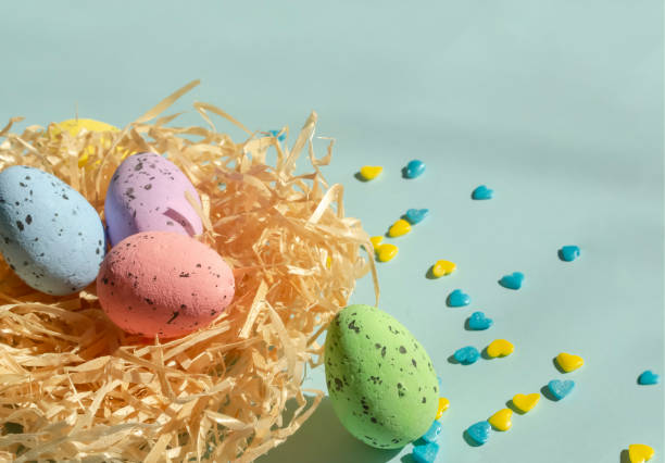 istock On a blue background lies a nest with Easter eggs, and next to yellow and blue hearts. Decorations for Easter. Delicious quail eggs layer coloring for Easter in the nest. 1475556324