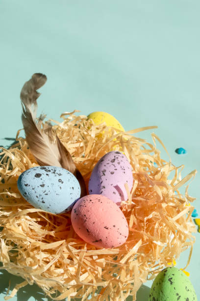 istock In the nested are Easter eggs and a bird feather. On a blue background is a nest with eggs for Easter. Quail eggs are painted with different colors. 1475556506
