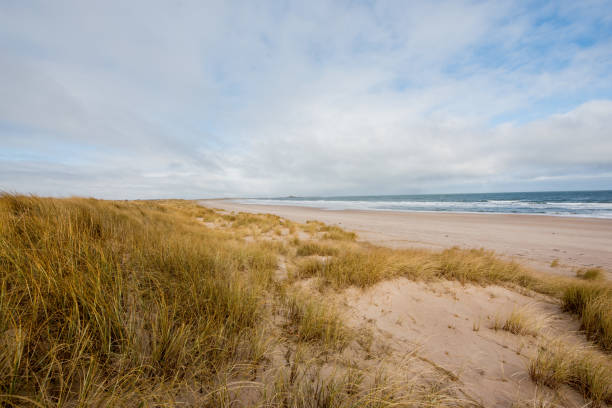 istock Ross Back Sands, Northumberland 1475556644