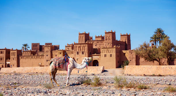 Kasbah in Skoura near Ouarzazate in Morocco stock photo