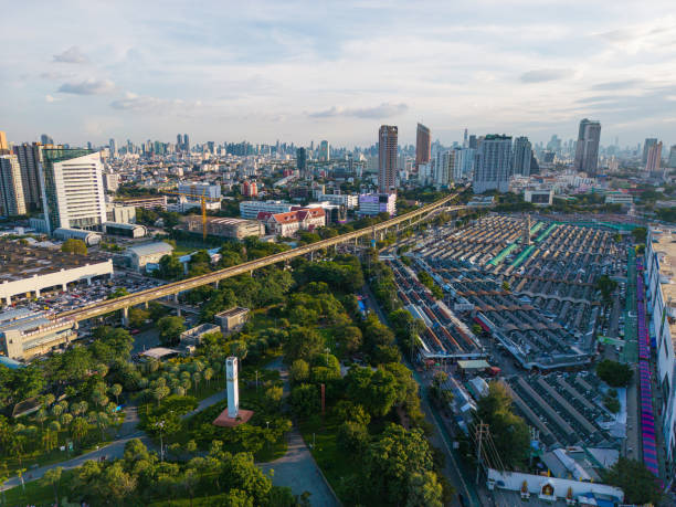 Green tree forest public park with city office building