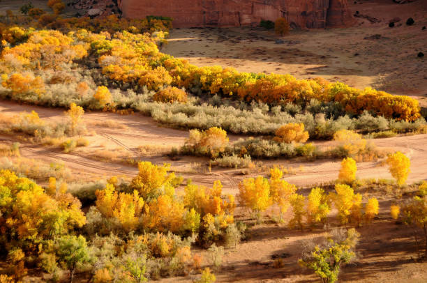 istock Autumn in The Canyon De Chelly 1475558879