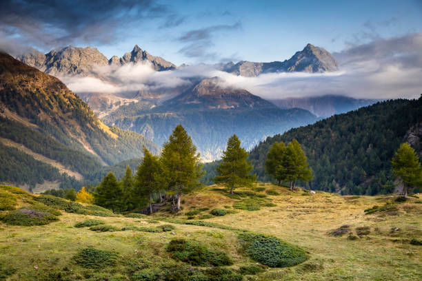 alpine landscape in bernina pass, engadine valley, graubunden, swiss alps border with italy, switzerland - engadine imagens e fotografias de stock