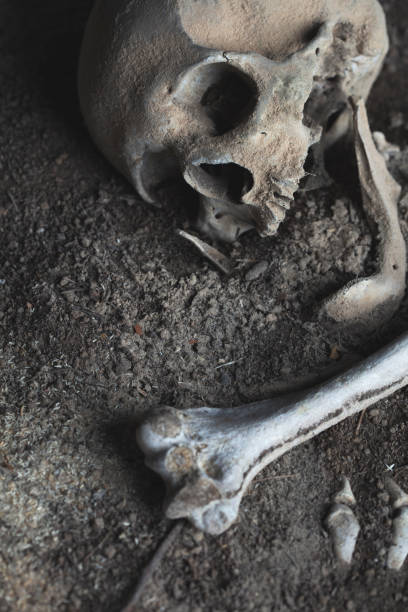 istock skull and human bones buried 1475566388