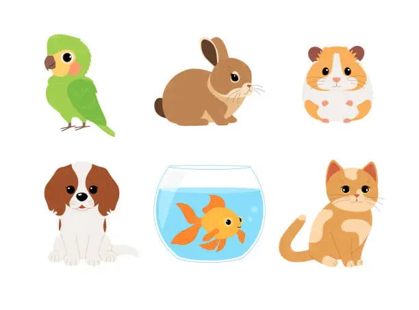 Vector illustration of Set of home pets: parrot, rabbit, hamster, dog, fish and cat. Cute domestic animals. Vector flat illustration isolated on white background