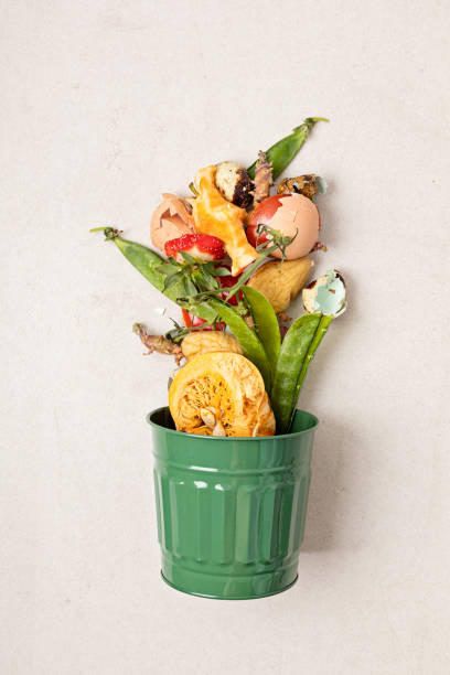istock Green compost bin and kitchen leftovers. Recycling scarps, sustainable and zero waste lifestyle concept. Fruits and vegetable garbage waste turning into organic fertilizerd soil. Top view, flatlay 1475571131