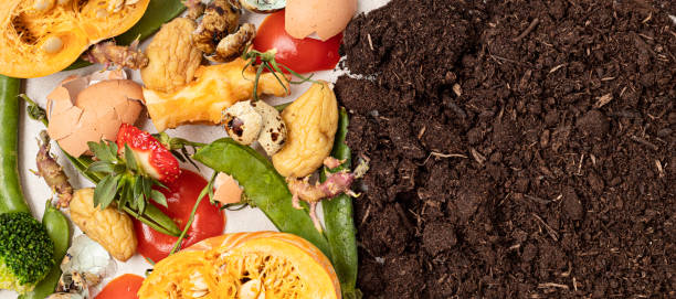 istock Food leftovers for compost and composted soil. Recycling scarps, sustainable and zero waste lifestyle concept. Fruits and vegetable garbage waste turning into organic fertilizers. Top view, flatlay 1475571140