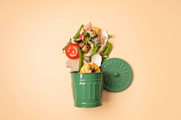 istock Green compost bin and kitchen leftovers. Recycling scarps, sustainable and zero waste lifestyle concept. Fruits and vegetable garbage waste turning into organic fertilizerd soil. Top view, flatlay 1475571145
