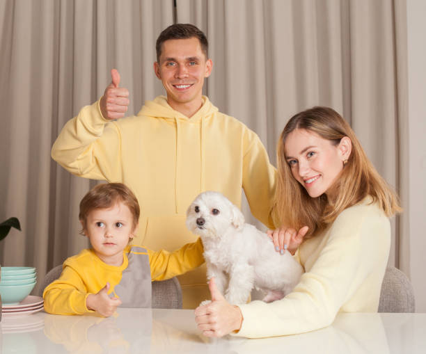 parents with child son and white dog, abstract plastic bottles on the table, family showing thumb up - two parent family indoors home interior domestic kitchen imagens e fotografias de stock