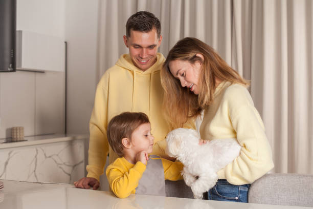 cheerful cute parents in yellow clothes with child son and little white dog - two parent family indoors home interior domestic kitchen imagens e fotografias de stock