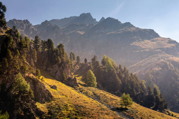 alpine landschaft in st. moritz, engadin, graubünden, schweizer alpen im herbst, schweiz - engadine alps landscape autumn european alps stock-fotos und bilder