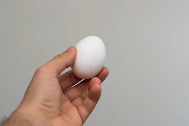 istock Close up of hand holding an egg in grey background 1475586251