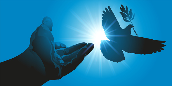 Concept of peace and freedom, with a hand releasing a dove holding an olive branch in front of the rays of the sun. under a blue sky.