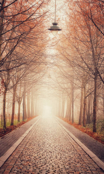 Mountain road in fog in the evening