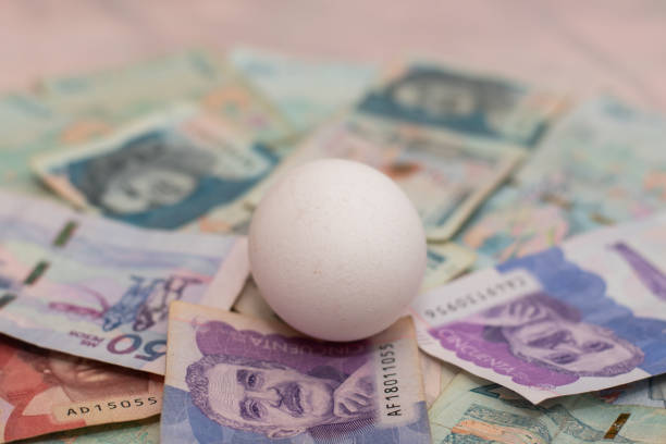 istock A egg over a lot of money in background 1475591052