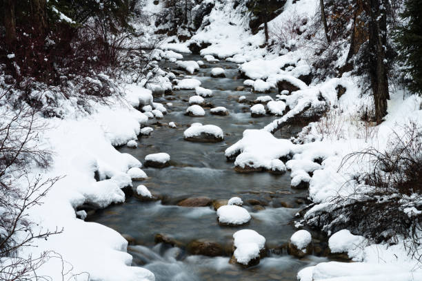 Commonwealth Basin Snowshoe, Snoqualmie National Forest - North Bend Washington