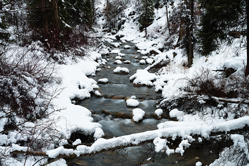 Fresh Snow Covered Creek Winter Wonderland Landscape - Flowing creek in pristine mountain wilderness after a fresh snow storm. Scenic nature scene.