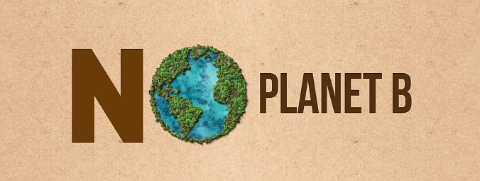 carton placard with There is no planet B. Concept of eco activism.