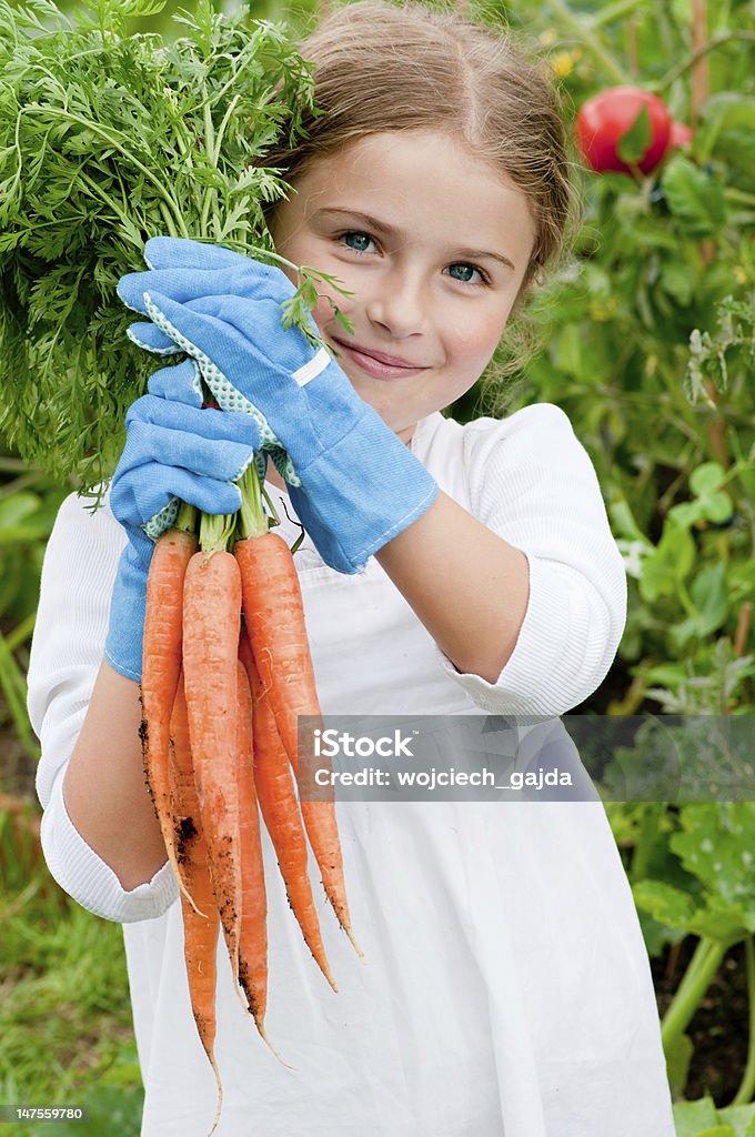 Lovely little girl showing off her gardening skills Lovely girl with bunch of carrots in vegetable garden Active Lifestyle Stock Photo