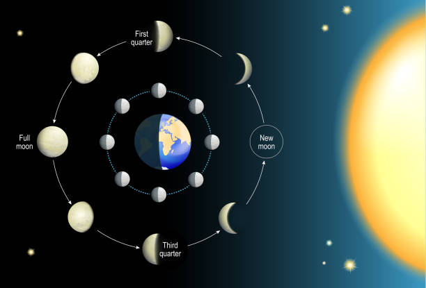 lunar phase. Moon cycle lunar phase. phases of the Moon depends on the Moon's position in orbit around the Earth and sun. Movements of the Moon. 8 Lunar Phases. Realistic vector illustration galaxy diagram stock illustrations