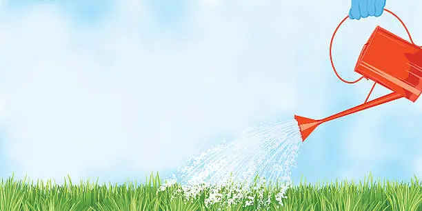 Vector illustration of Watering Can and Grass