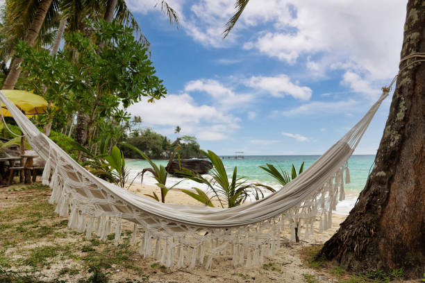 istock cotton hammock in a beach of tropical bay 1475607307