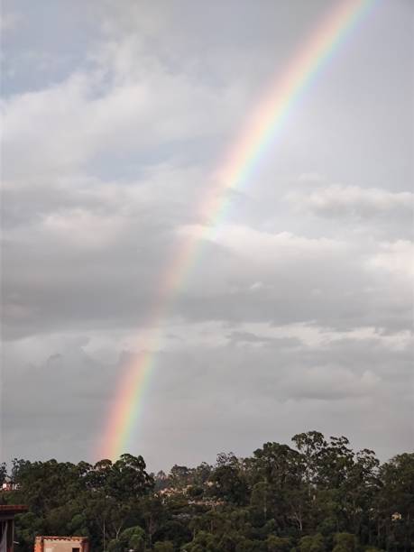 Grey sky rainbow end trees in Brazil stock photo