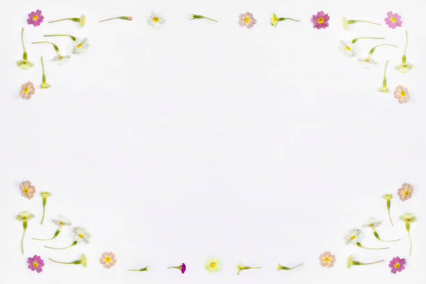 Colorful autumn frame of silk flowers and leaves with soft shadow; copy space 