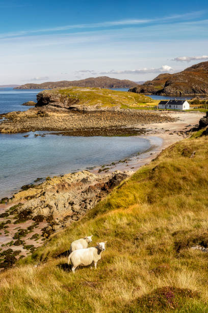istock Scene at Clashnessie, Highlands, Scotland 1475617297
