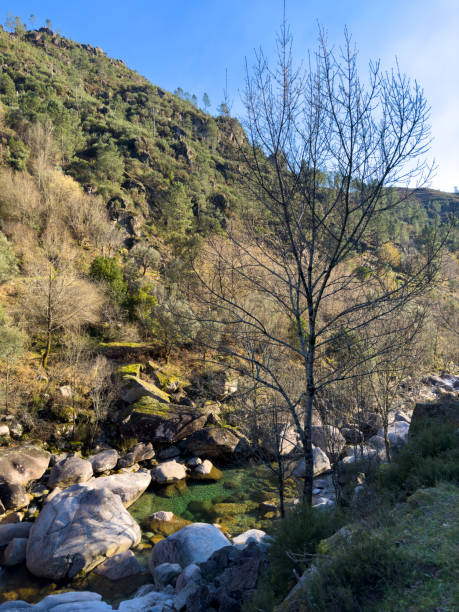 istock Water stream near Fecha de Barjas waterfall 1475620317