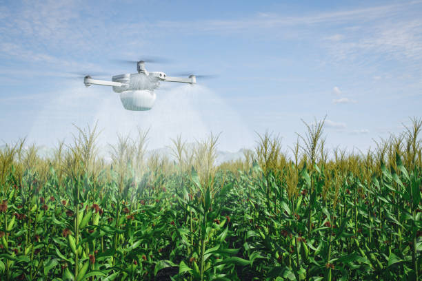 istock Smart Agriculture, Drone-Assisted Crop Irrigation 1475621029
