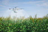 Smart Agriculture, Drone-Assisted Crop Irrigation