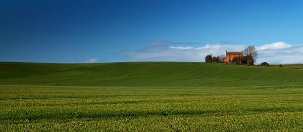 istock house on the hill 147562133