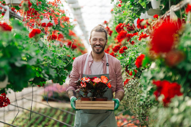istock Man gardener working in a greenhouse 1475622659