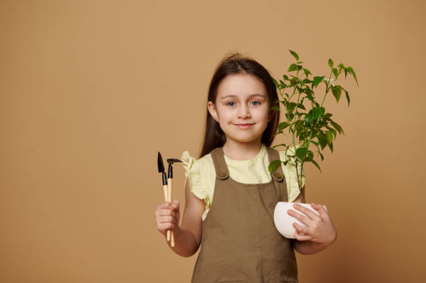 Adorable little girl dreams to become a gardener, carrying flowering pepper plant and garden tools over beige backgroud stock photo