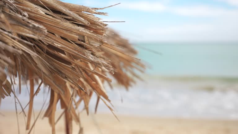 Close up of a straw umbrella on the beach. Focus Pull effect from the sea in the background