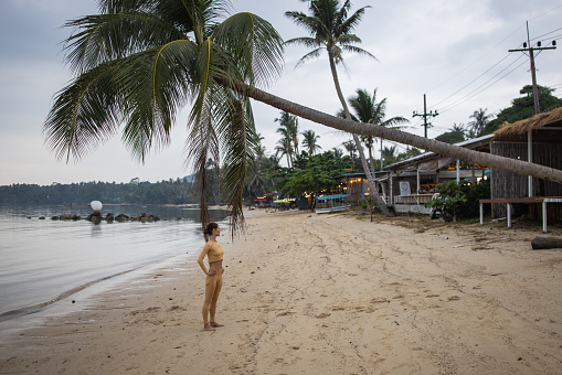 Woman on the beach by the calm sea underneath a palm tree.