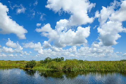 The wetland of the Everglades National Park in Florida
