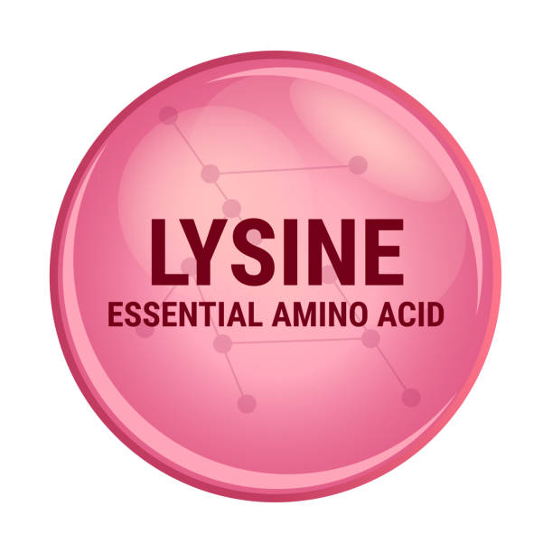 Vector icon of lysine. Essential amino acid with the abbreviation Lys. K amino acid used in the biosynthesis of proteins. Vector icon of lysine. Essential amino acid with the abbreviation Lys. Red molecule isolated on a white background. K amino acid used in the biosynthesis of proteins. Food and nutrition concept. lysine stock illustrations