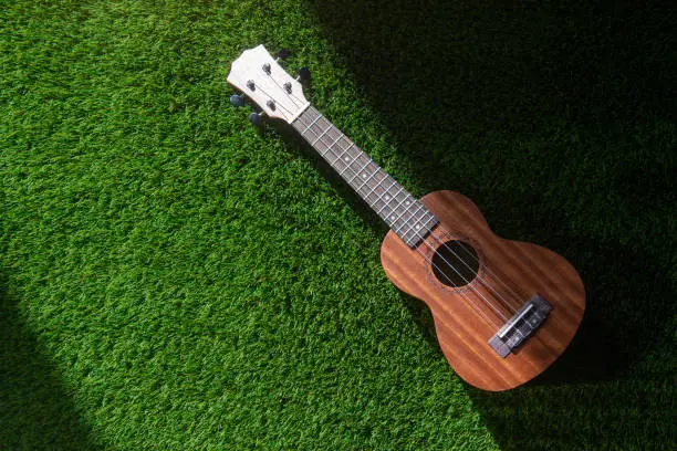 Photo of Ukulele on green grass with natural light. Horizontal music theme poster, greeting cards, headers, website and app