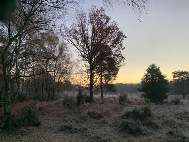 istock Early morning and cold 1475634740