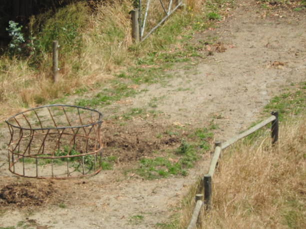 istock Australian Country side 1475637171