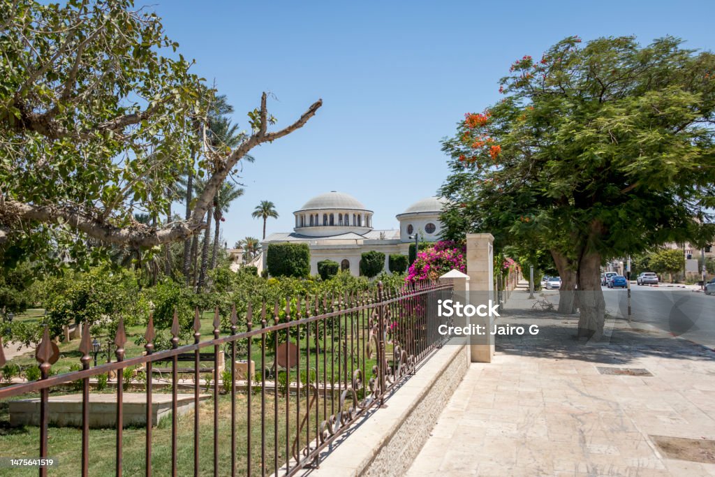 Tree of Zacchaeus Tree of Zacchaeus in Jericho Architecture Stock Photo